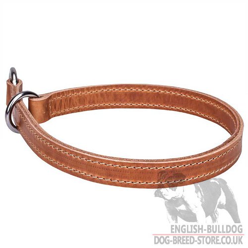 Leather Choke Collar for Bulldog