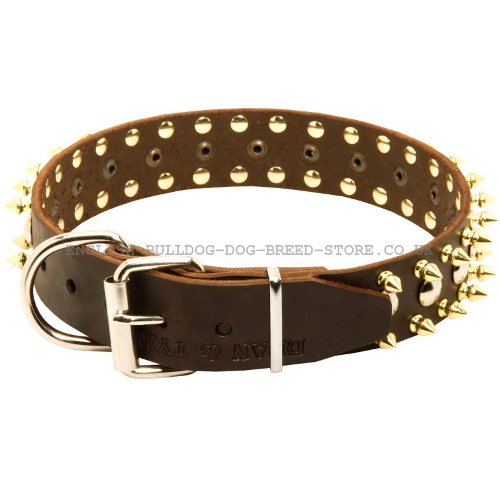 English Bulldog Collars UK