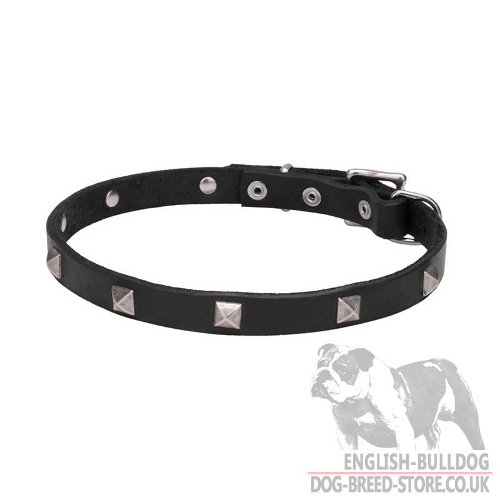 Bulldog Collar UK