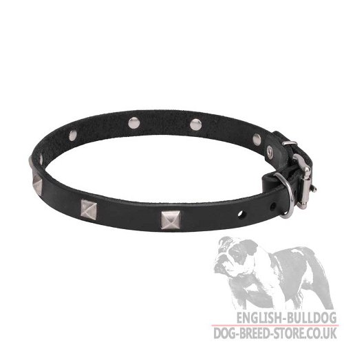 Leather Dog Collar for Bulldog UK