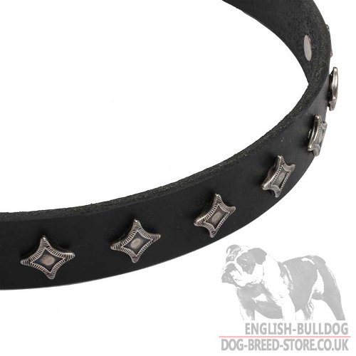 Leather Dog Collar with Silver Stars