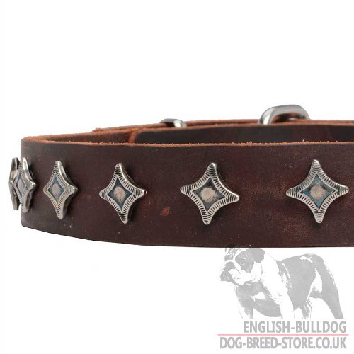 Leather Dog Collar with Stars