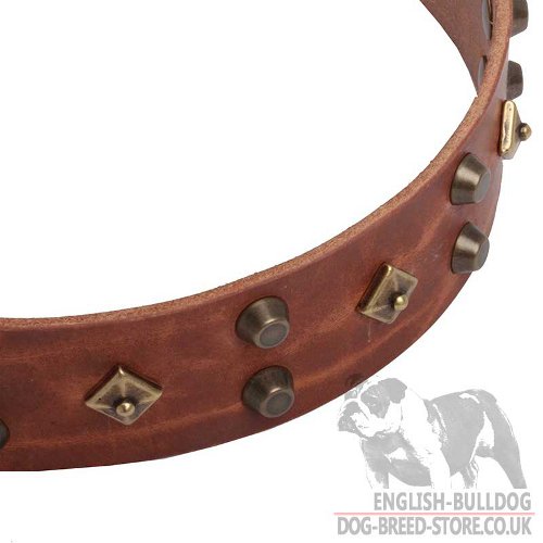 Leather Dog Collars Fashion