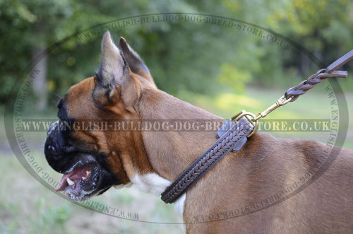 Leather Dog Collars for Boxers