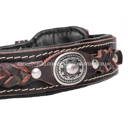 Leather Dog Collars for Bulldogs