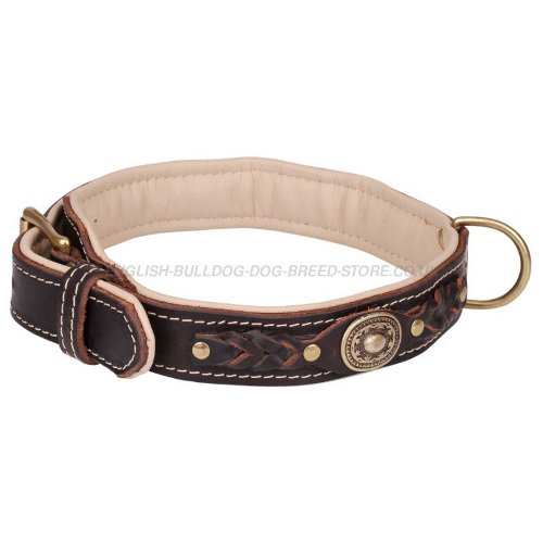 Leather Dog Collars for Bulldogs