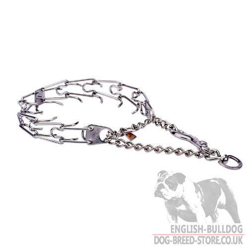 Martingale Pinch Collar for Bulldog UK