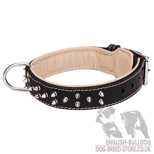 Leather Bulldog Collars UK