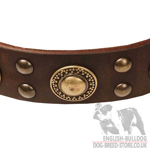 Modern Dog Collar UK