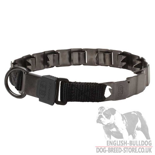 Neck Tech Prong Collar