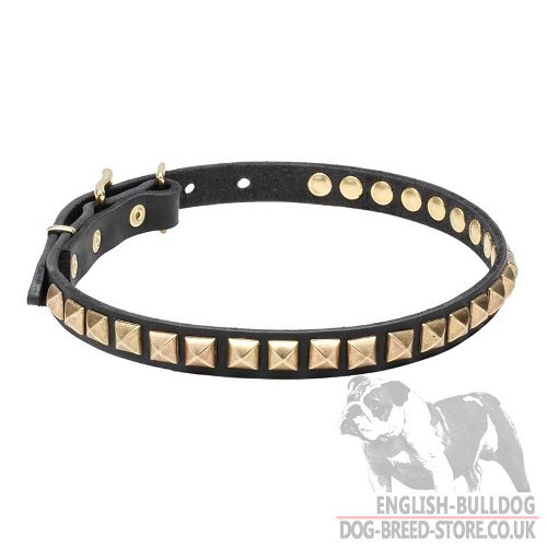 Necklace Dog Collar