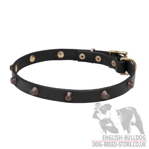 Necklace Dog Collar UK