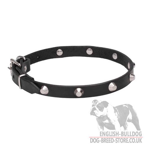 Necklace Dog Collar UK