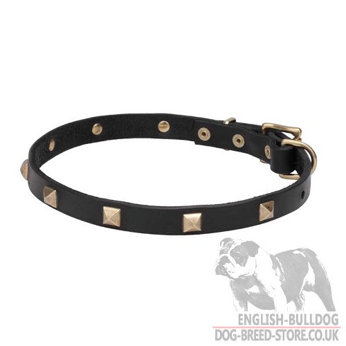 New Dog Collars UK