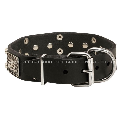 English Bulldog Collars UK