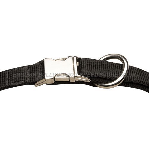 Nylon Collar Metal Buckle