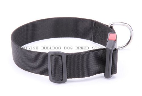 Nylon Collar with Buckle