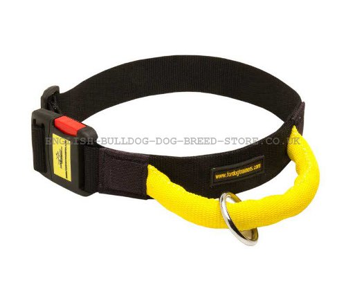 Nylon Dog Collar with Handle