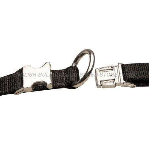 Nylon Dog Collar with Metal Buckle