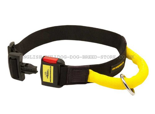 Nylon Dog Collar with Buckle