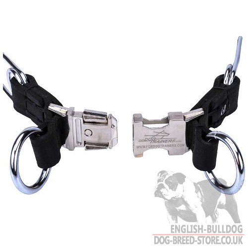 Pinch Dog Collar UK