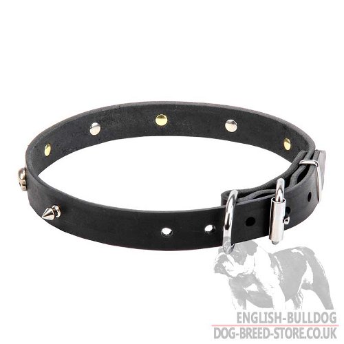 Pirate Collar for Dogs