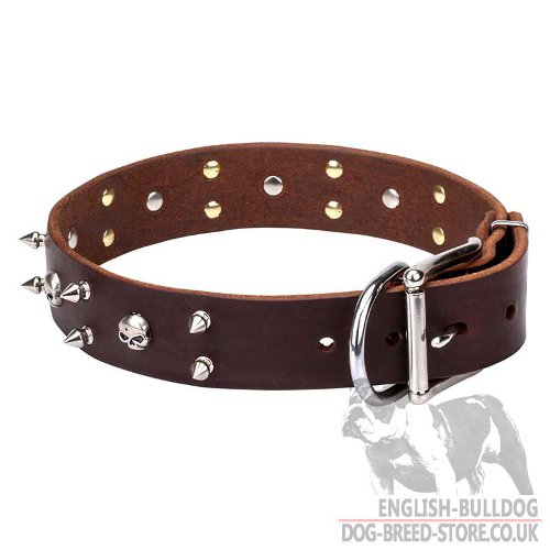 Rock Dog Collars