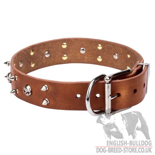 Rockstar Dog Collar