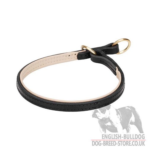 Bulldog Behavior Training Collar