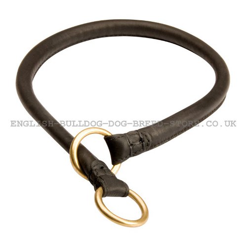 Rolled Leather Dog Collar