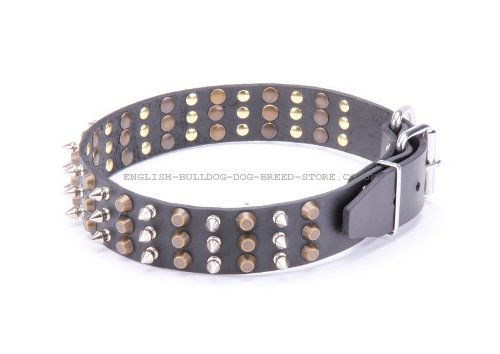 English Bulldog Collars UK