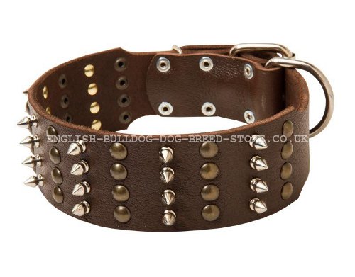 Spiked Studded Dog Collar