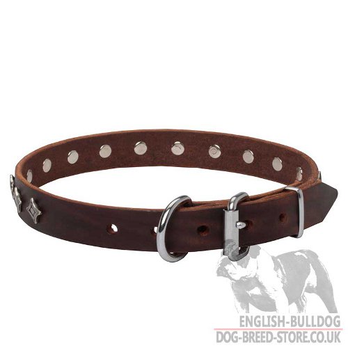 Star Dog Collar UK