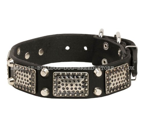 English Bulldog Collar UK