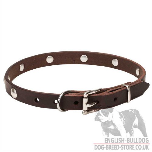 Studded Dog Collar Necklace