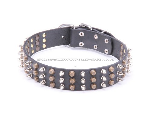 Bullmastiff Dog Collar