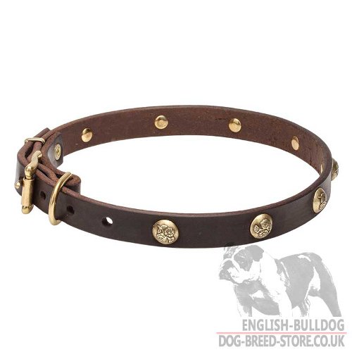 Thin Dog Collar