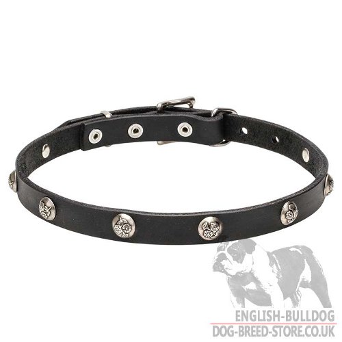 Thin Dog Collar