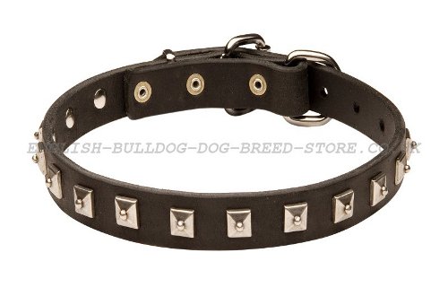 Thin Dog Collars