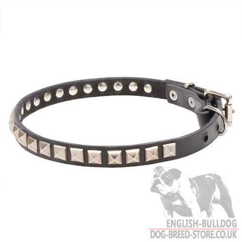 Thin Dog Collars