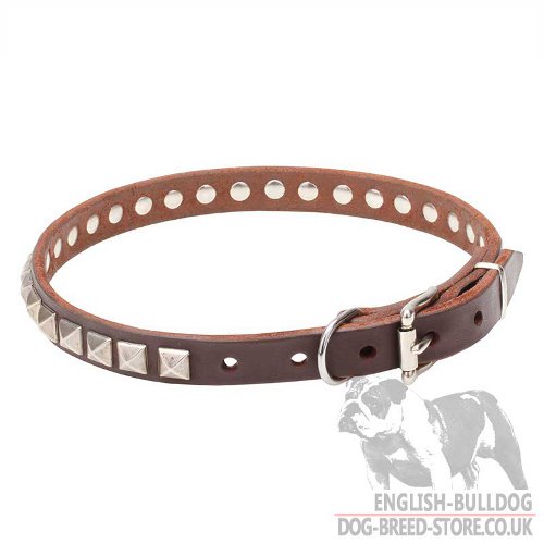 Thin Leather Dog Collar