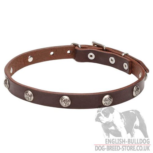 Thin Leather Dog Collar