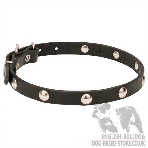 Thin Leather Dog Collar