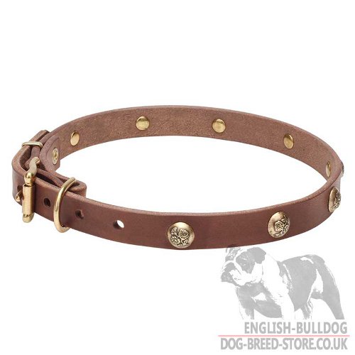 Thin Leather Dog Collar