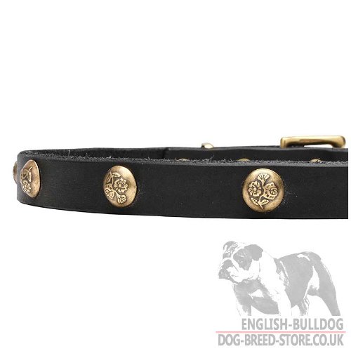 Thin Leather Dog Collars