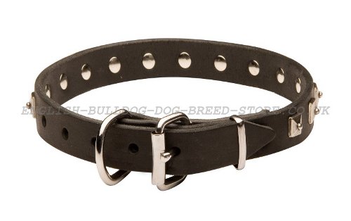 Thin Leather Dog Collars