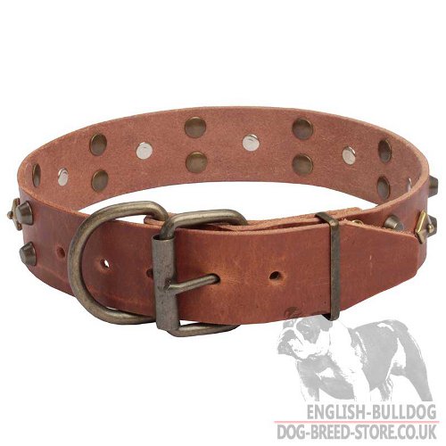 Top Fashion Dog Collars