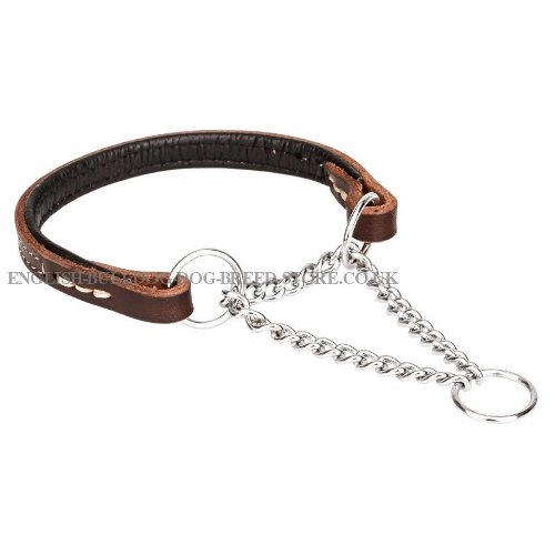 Training Collar for English Bulldog