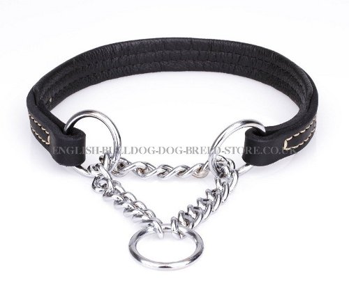 Training Collar for English Bulldog