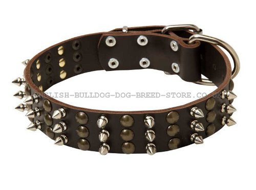 Trendy Dog Collar UK